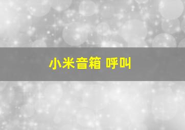 小米音箱 呼叫